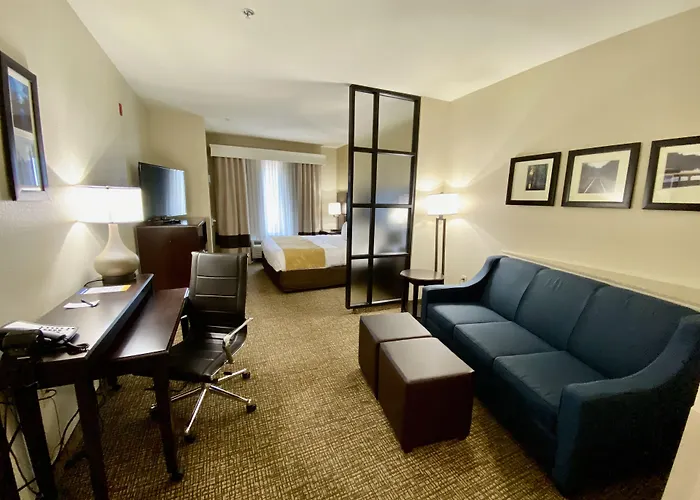 Comfort Suites Byron Warner Robins